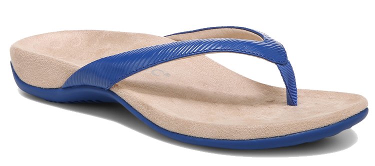 Vionic Dillon Classic Blue Sandal - Grady’s Feet Essentials - Vionic